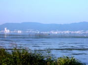 琵琶湖烏丸半島横の緑地公園